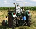 Agribusiness bietet jeden zehnten Arbeitsplatz