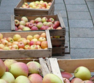Apfelernte 2020 Nordrhein-Westfalen