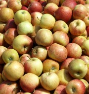 Apfellieferung