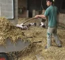 Arbeitgerber Landwirtschaft