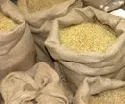 BayWa sieht steigende Getreidepreise