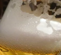 Bio-Bier aus Bayern