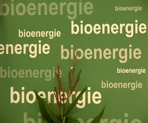 Bioenergie 2020