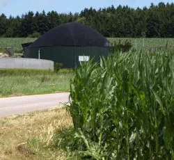 Biogasnutzung