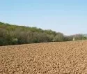 Boden: Ackerland in Veredelungsregionen wird teurer