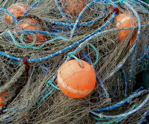 Fischereiunternehmen