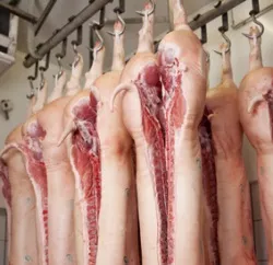 Fleischerzeugung Bayern 2015