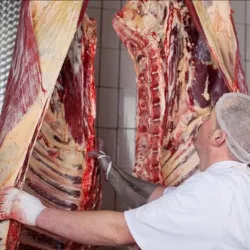 Fleischproduktion Brandenburg 2015