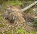 Forstminister informiert sich ber Unwetterfolgen - Schwere Schden bei Sachsenforst und Landestalsperrenverwaltung