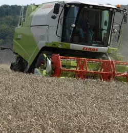 Getreideernte Hessen 2014