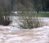 Hochwasser Schweiz 2011