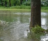 Hochwasser 