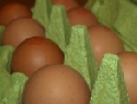 Importverbote fr Eier oder Fleisch 