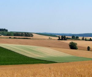 Klimafreundliche Landwirtschaft