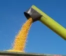 Mhdrescher ernten 3,24 Millionen Tonnen Getreide