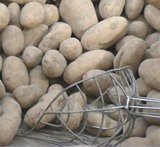 Marktkommentar Kartoffeln 