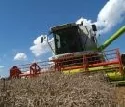 Mecklenburg-Vorpommern: Getreideernte beginnt wegen Trockenheit sehr frh