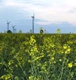 Nachhaltige Biomassenutzung 