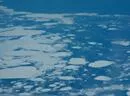Nordpolareis schmilzt mit Rekordgeschwindigkeit