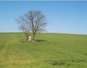 ko-Landwirtschaft in Niedersachsen