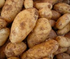 Preise Frhkartoffeln