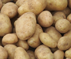 Preise fr Kartoffeln knnten steigen