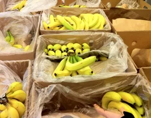 Produktionsbedingungen von Bananen
