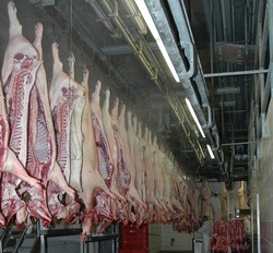 Russland  Starker Rckgang der Schweinefleischimporte im 1. Halbjahr