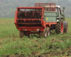 Stickstoffeintrge durch Landwirtschaft