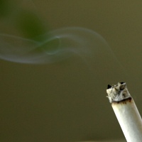 Tabakgesetz