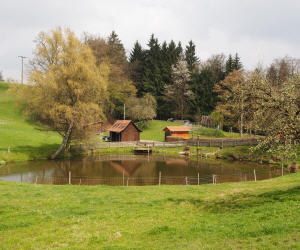 Teichwirtschaft in Sachsen