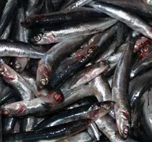 Untersttzung fr Ostseefischer