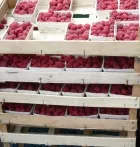 Weiterbildung Fruchthandel