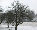 Wetter in Deutschland 21.02.2011