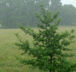 10-Tage-Wetter 17.06.2011