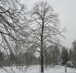 10-Tage-Wetter 18.12.2011