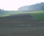 AGRARIUS AG ermglicht Investition in Agrarflchen in Mittel- und Osteuropa