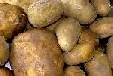 Adretta ist Kartoffel des Jahres 