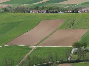 Agrarflche in Bayern