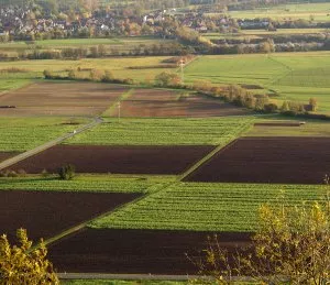 Agrarflchen in Ostdeutschland