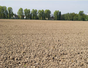 Agrarflächen in Sachsen-Anhalt