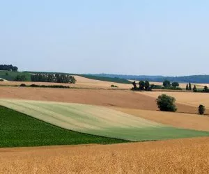Agrarfrderung Mecklenburg-Vorpommern