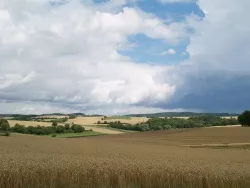 Agrarwetter Sommer 2015