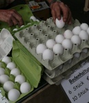 Angebot S-Eier