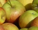 Apfelernte 
