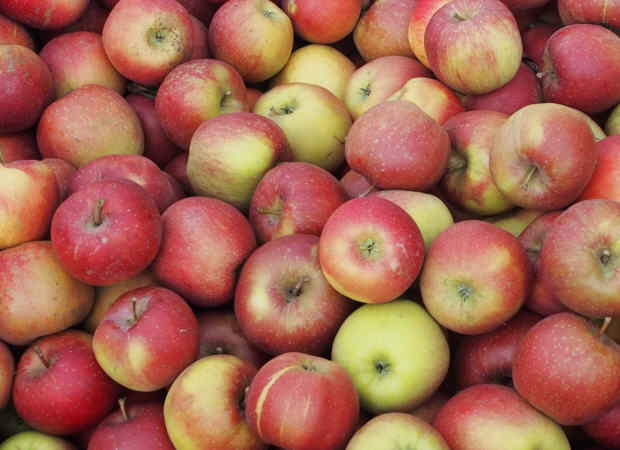 Apfelhandel