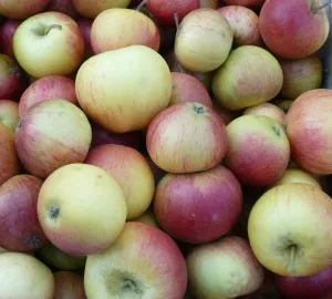 Apfelpreise