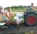 Arbeit in der Landwirtschaft