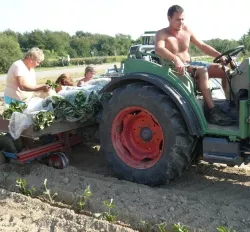 Arbeitskrfte in der Landwirtschaft
