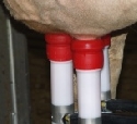 Baden-Wrttemberg: Durchschnittliche Milchleistung erstmals ber 6.000 kg je Kuh und Jahr
